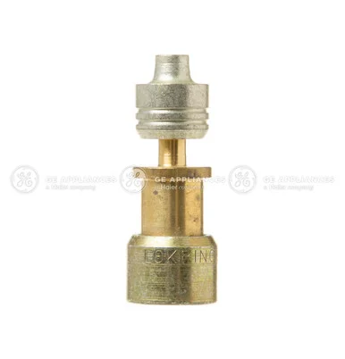 bodewell4198771